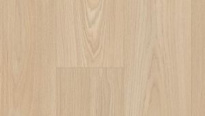 Citizen Oak Plank NATURAL